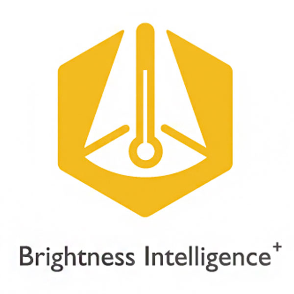 Bright intelligence что это. Смотреть фото Bright intelligence что это. Смотреть картинку Bright intelligence что это. Картинка про Bright intelligence что это. Фото Bright intelligence что это