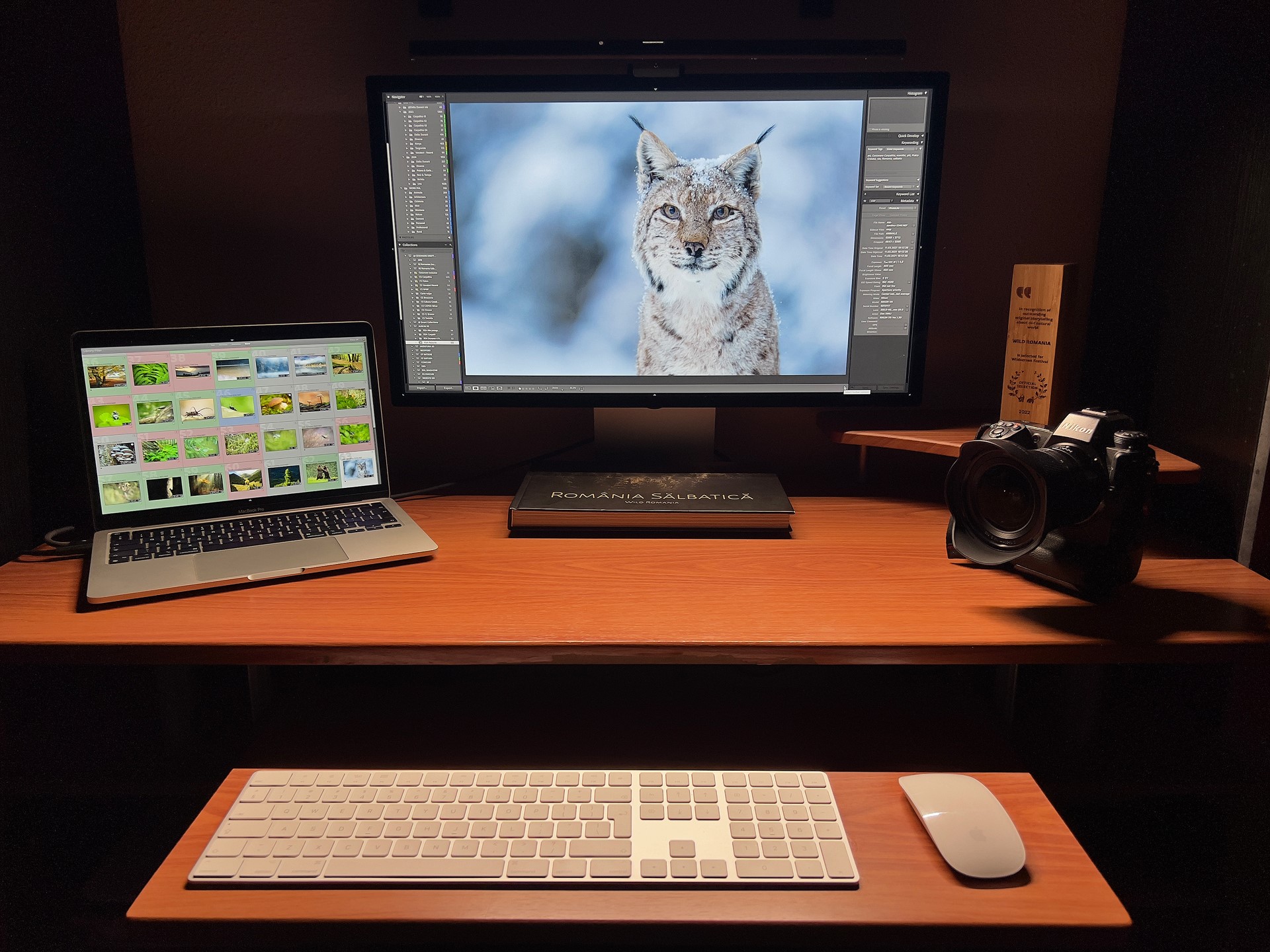 screenbar halo with dan dinu