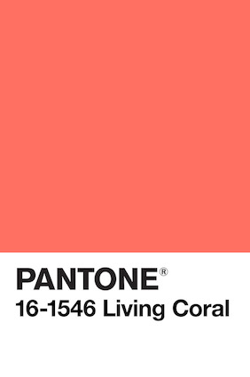 Why Pantone Validation And Calman Verification Matter