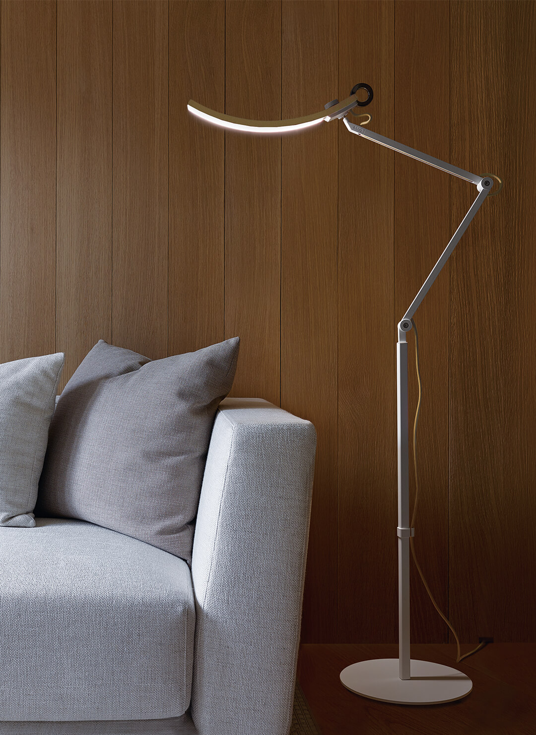 e-Reading Floor Lamp - LED lamp, Metal Swing Arm, Dimmable, Hue