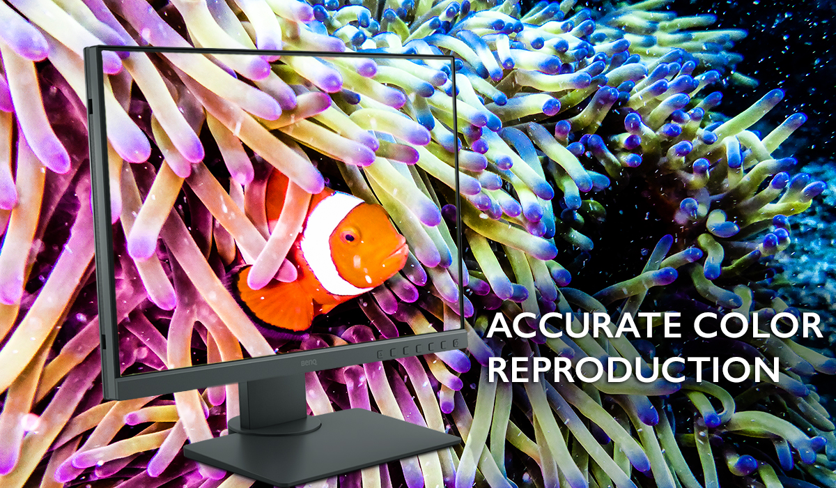 Sw240 Photovue Photo Editing Monitor With Adobe Rgb Ips Hardware Calibration Benq Us Sw240 Photovue Photo Editing Monitor With Adobe Rgb Ips Hardware Calibration Benq Us
