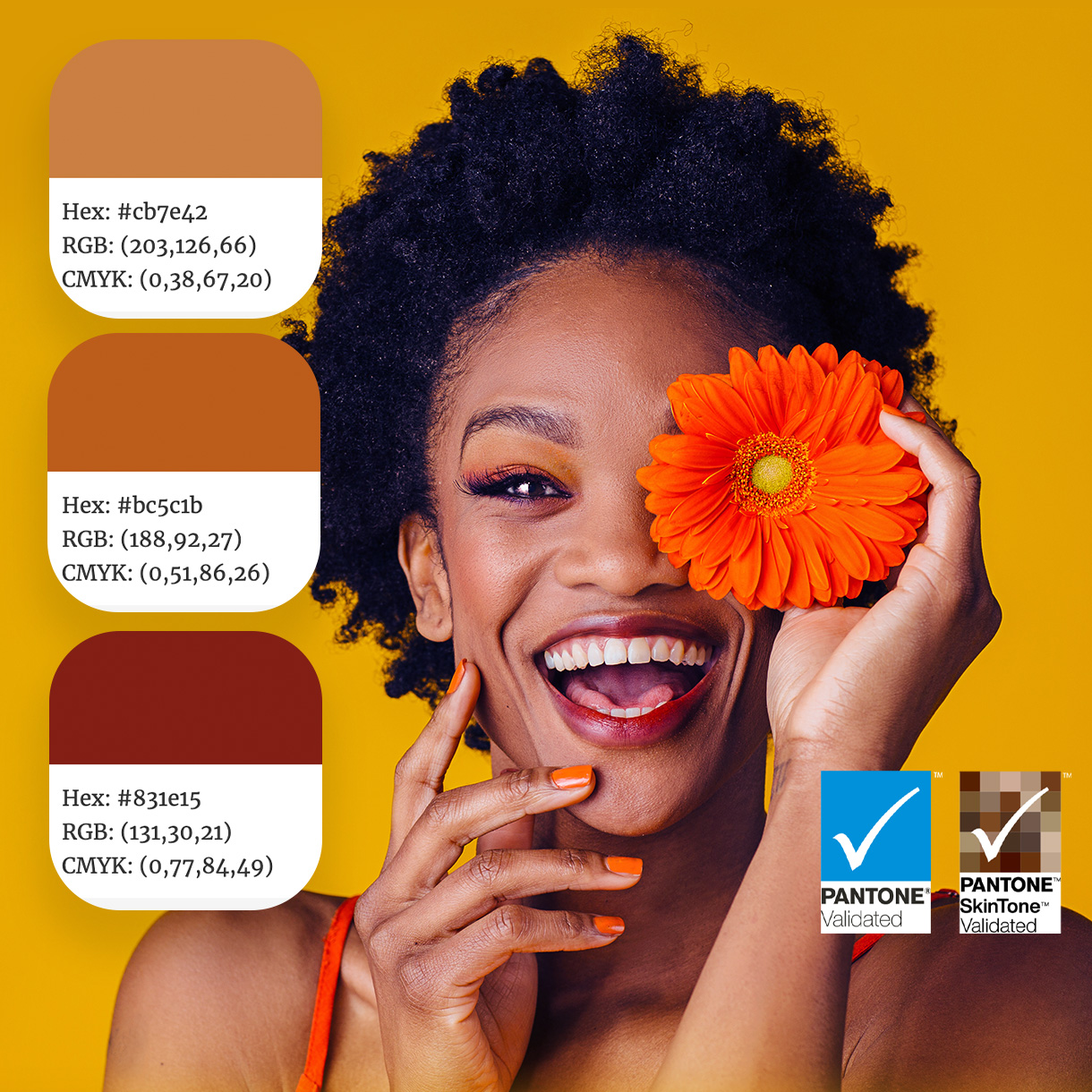 BenQ PD3205U achieves the Pantone and Pantone SkinTone Validated status, appealing to whom appreciate products that realize authenticity in the display of real-world colors.