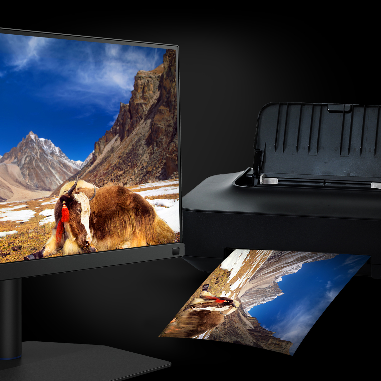 BenQ Paper Color Sync offers simulated images attuned to the color settings, printer, and photo paper in use for easy and accurate photo preview before print.