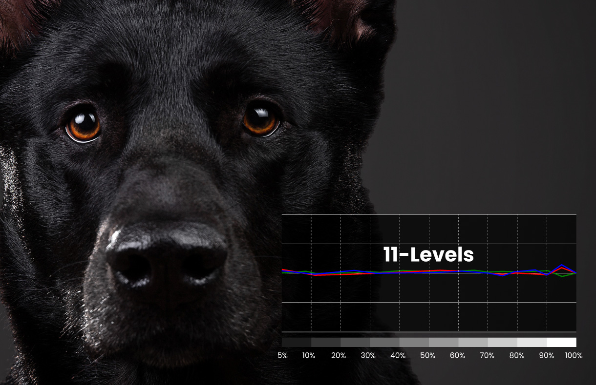 The W4000i 4K projector with 11-Levels Color Temperature Tuning