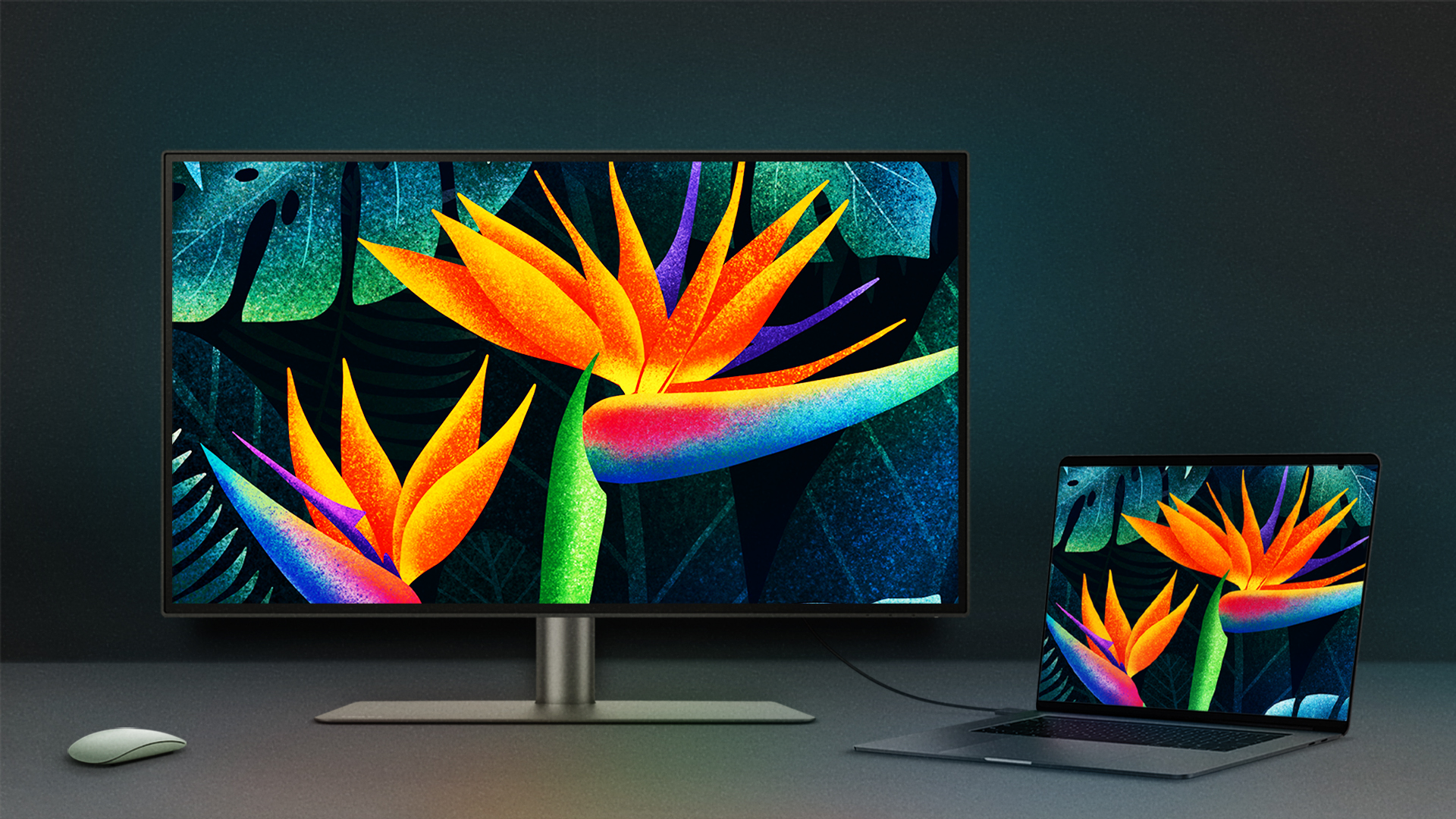a-monitor-that-matches-the-colors-of-your-mac