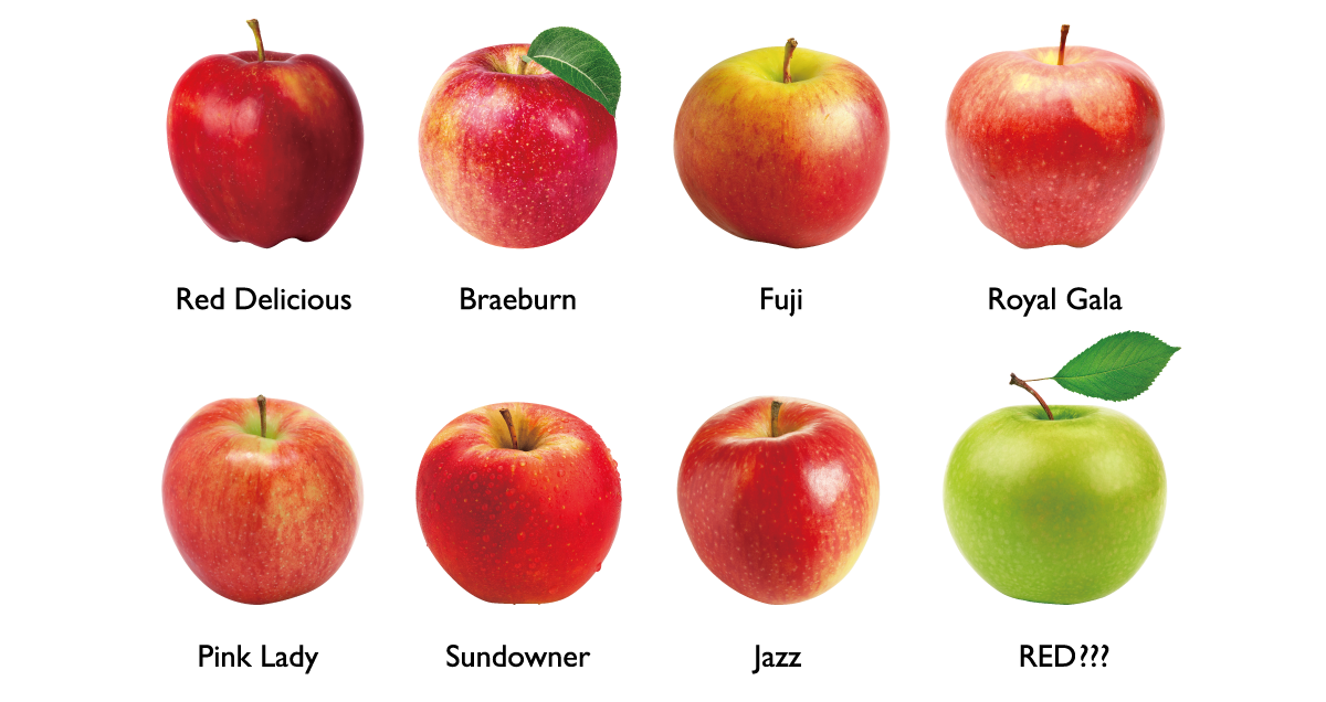what is the apple shape
