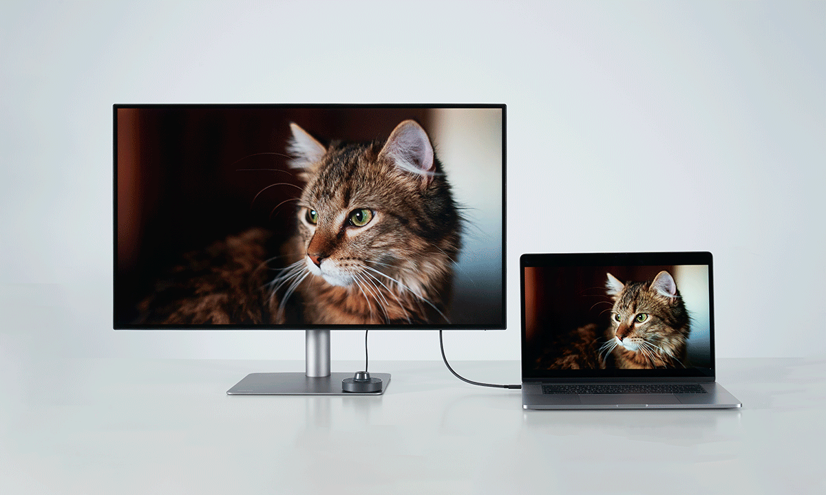Apa yang Membuat BenQ Pro Color Monitor 