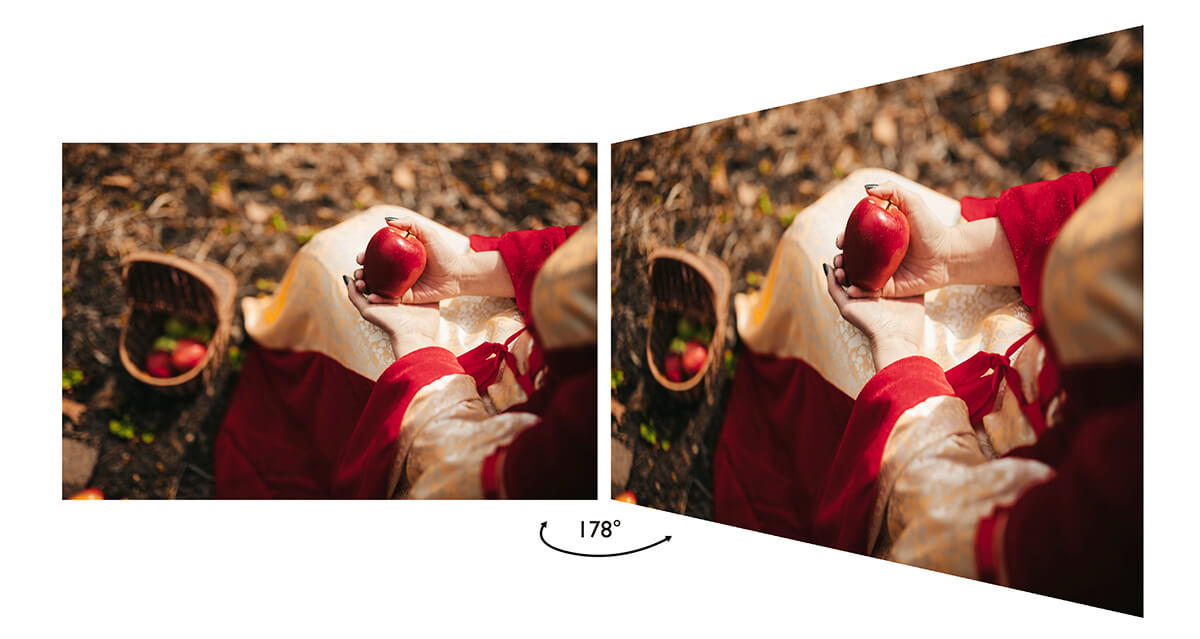 gw2381 with expansive 178° viewing angle ips technology