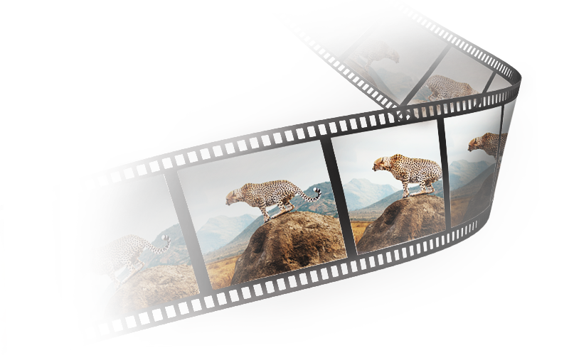 sw271c supports 24p/25p/30p film content shown at native cadence for seamless display