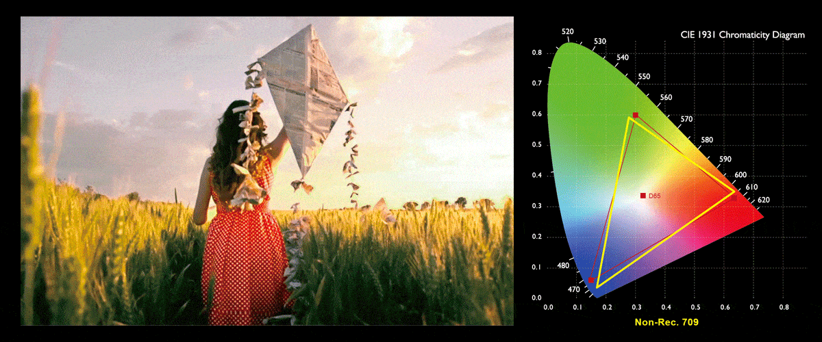 Máy chiếu BenQ W1110 08 x12000 101 rec for color accuracy
