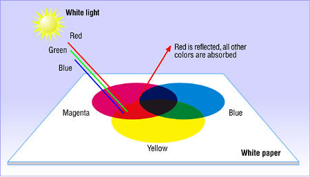 色彩管理知識入門 1 為什麼在不同的設備上會產生不一樣的色彩 Benq 台灣