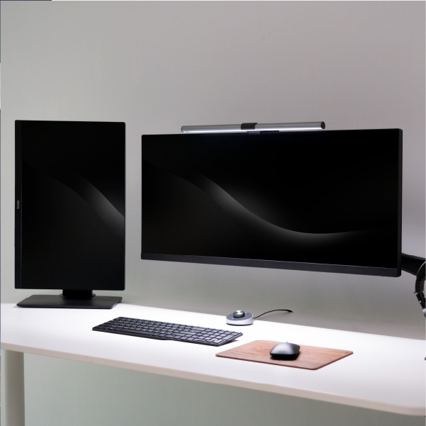 Dual Monitors​