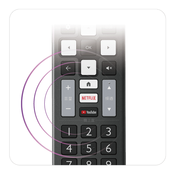 NETFLIX、YouTube 一鍵按下 立即觀看