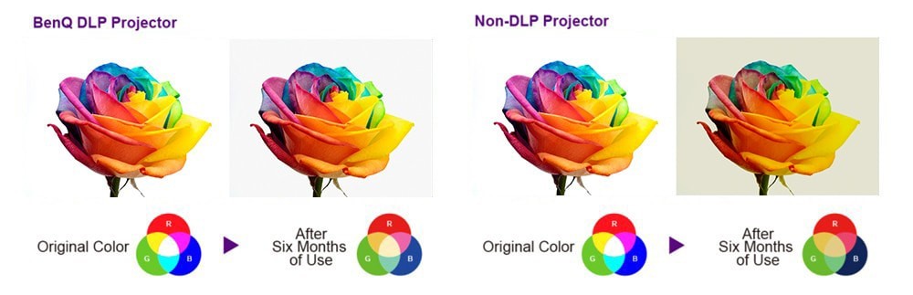 Công nghệ DLP cho màu sắc sống động lâu dài
