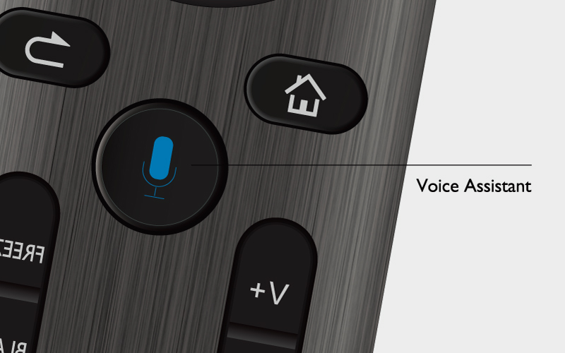 Voice assistant